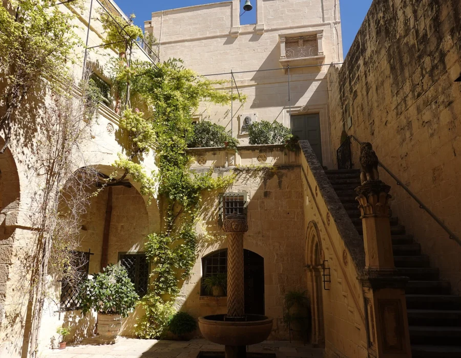 The vine covered courtyard and stone stair inside Palazzo Falson in Mdina