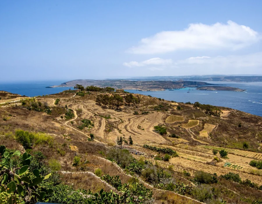 Terraced fields running down to the coast in Gozo