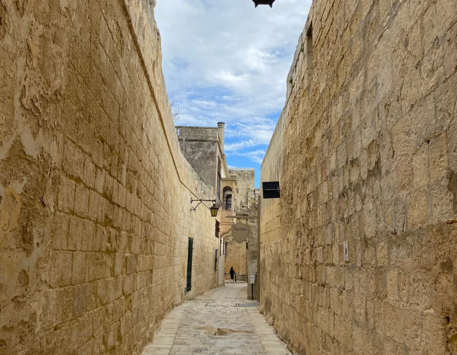 A narrow cobbled alleyway between old stone walls