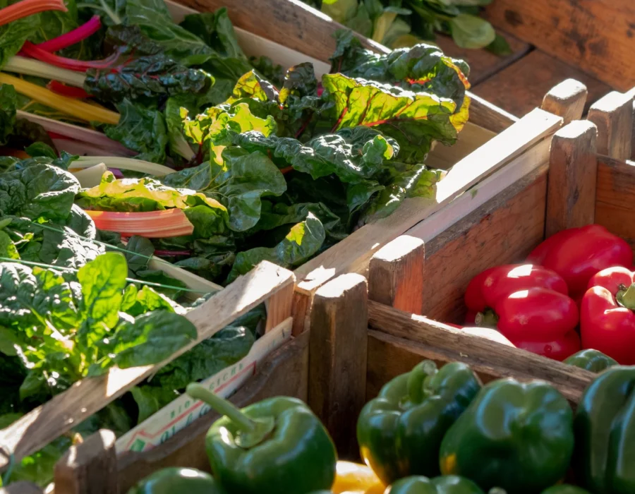 A choice of vegetables at a market