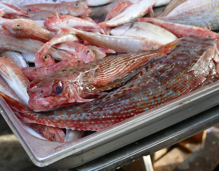 Fish laid out on a stall at the Sunday market