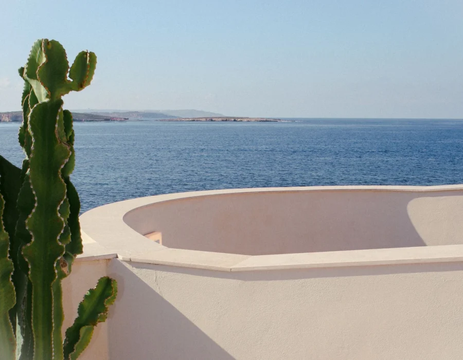 A cactus above the Mediterranean in Malta