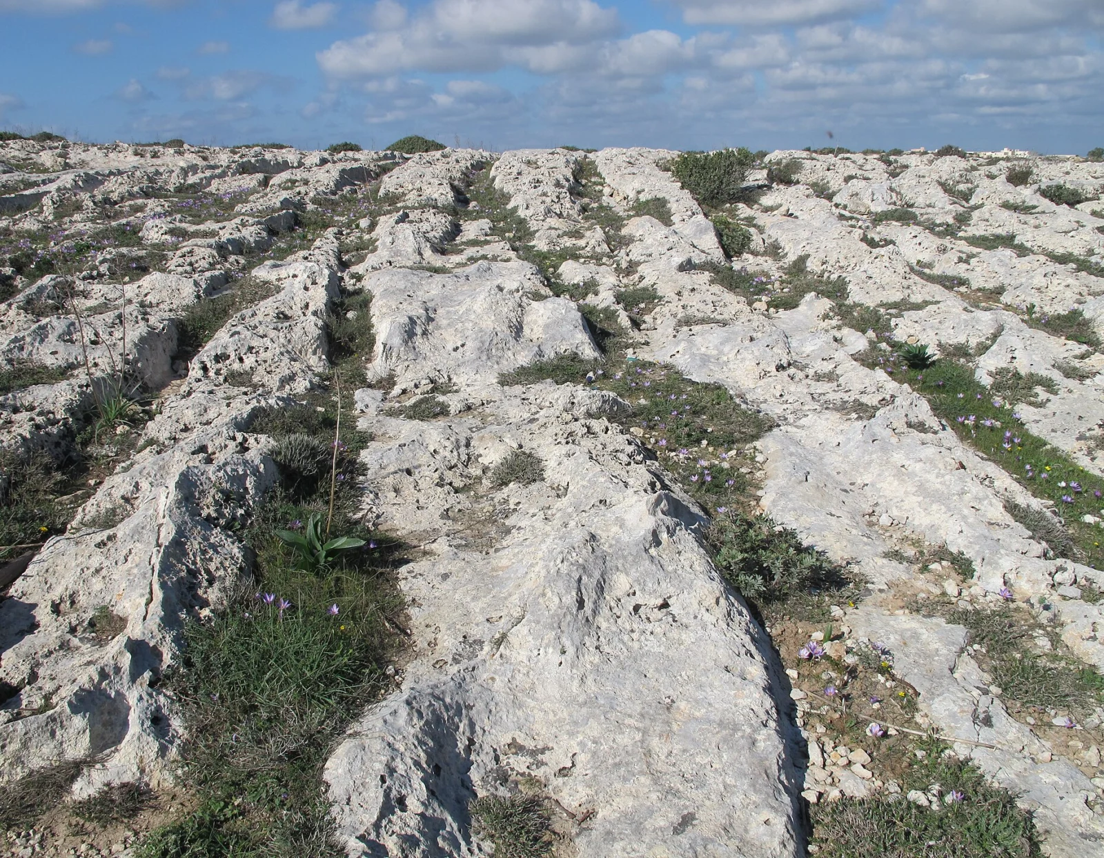 Nobody knows what cut the cart ruts