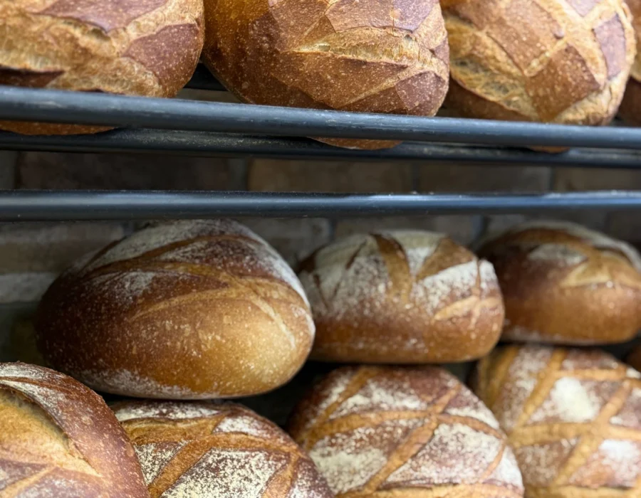 Why Maltese bread tastes the way it does