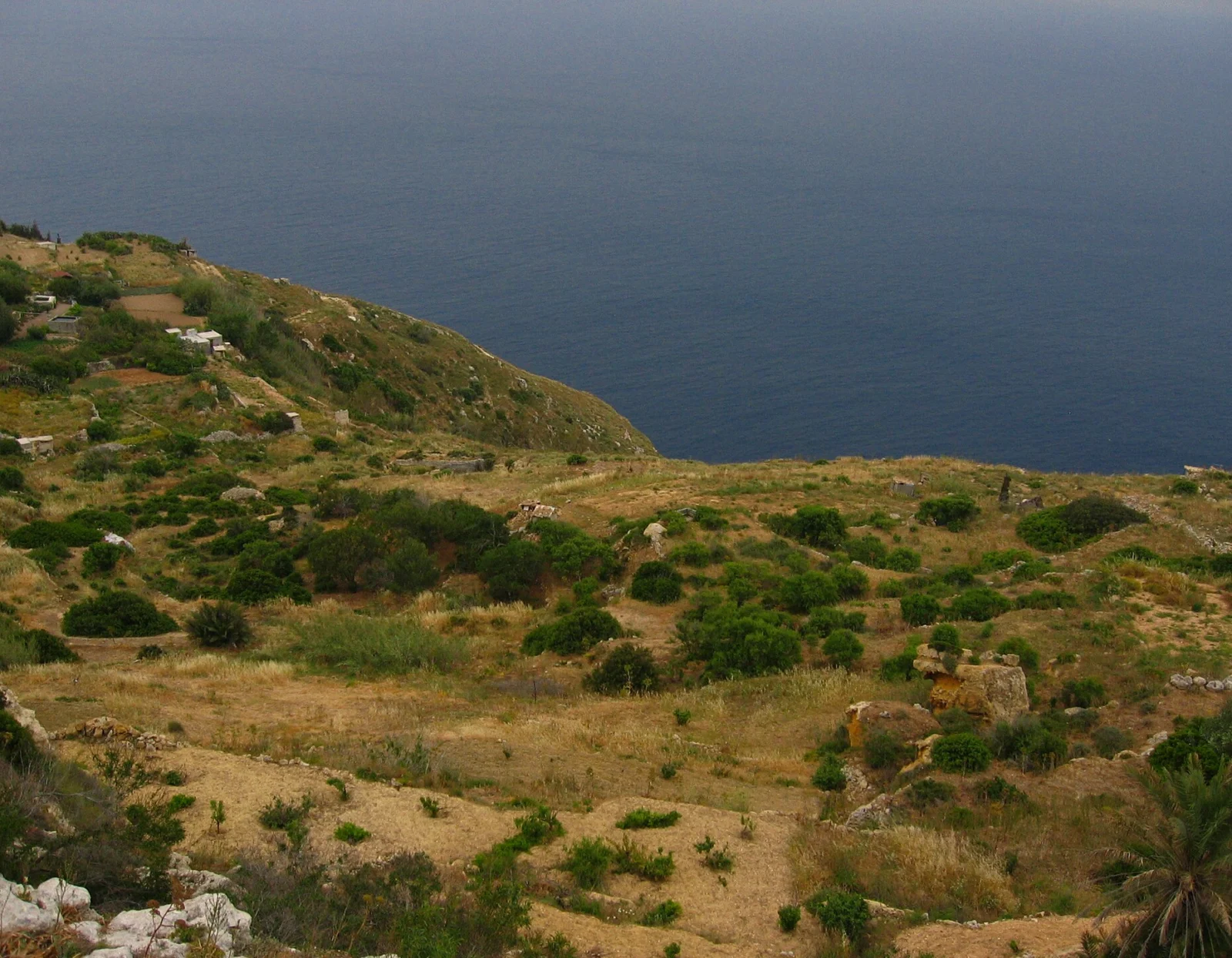 The clifftop at Dingli looking out over the open sea