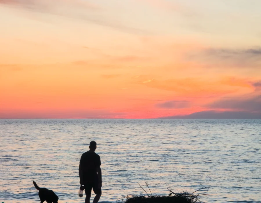 A person walking a dog along the shoreline at sunset